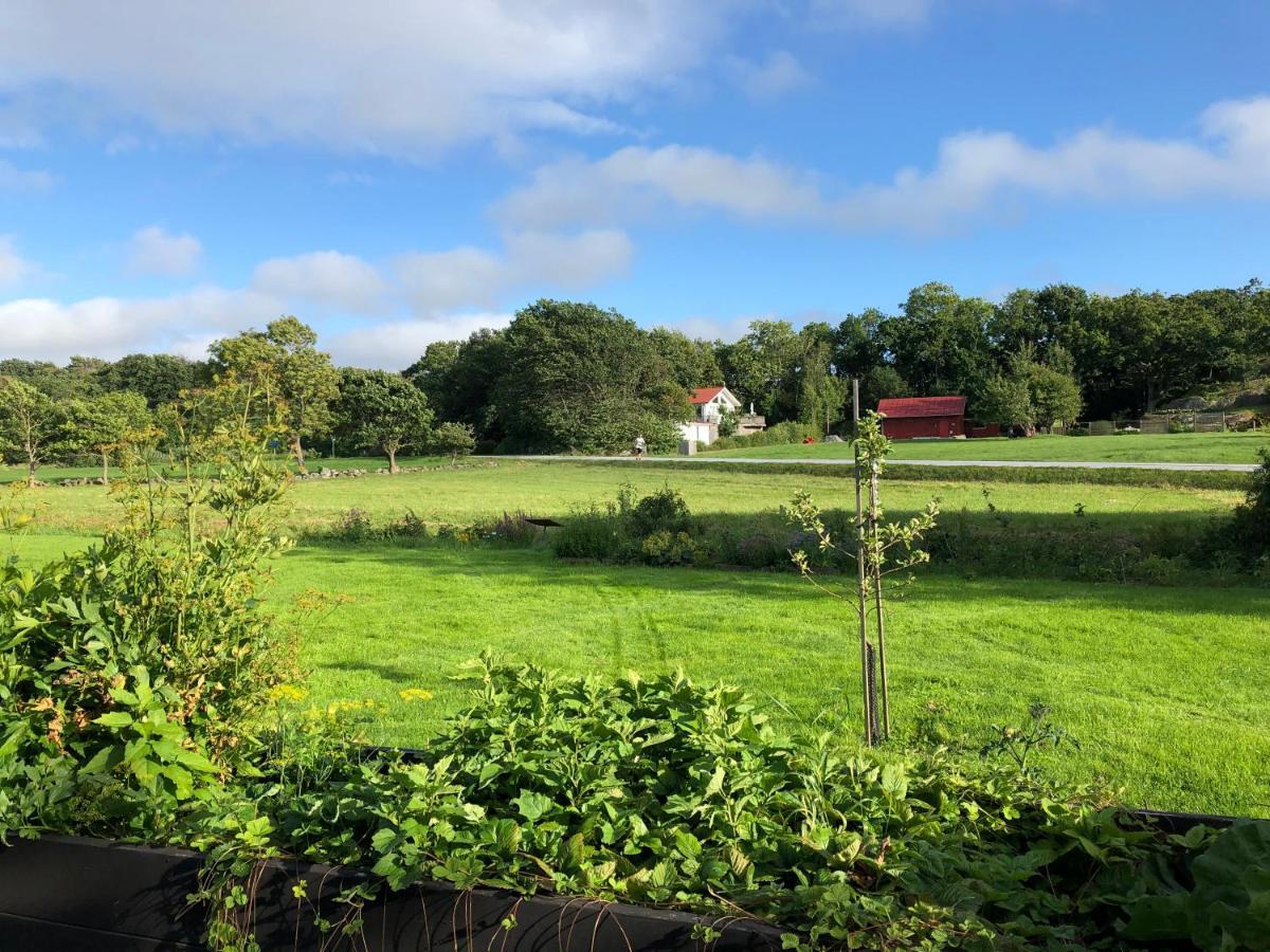 Mysig Nybyggd Stuga Naera Hav Och Natur Klovedal エクステリア 写真