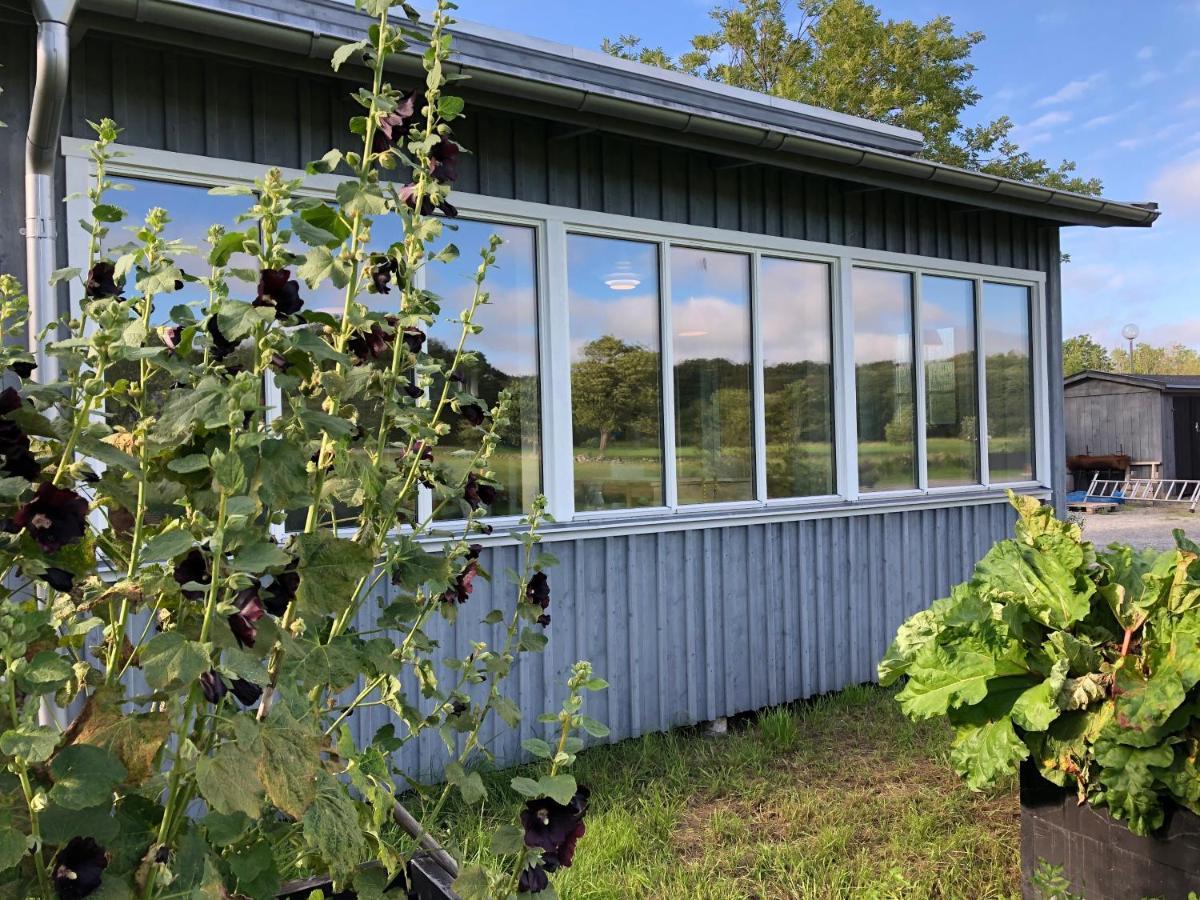 Mysig Nybyggd Stuga Naera Hav Och Natur Klovedal エクステリア 写真